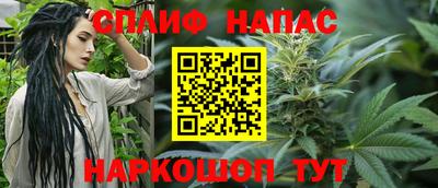 ГАЛЛЮЦИНОГЕННЫЕ ГРИБЫ Заволжье