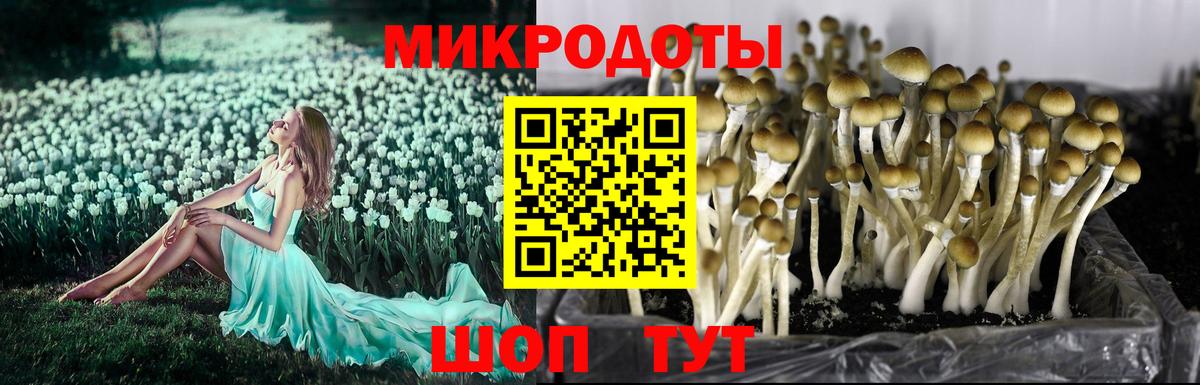 Псилоцибиновые грибы MAGIC MUSHROOMS Минеральные Воды